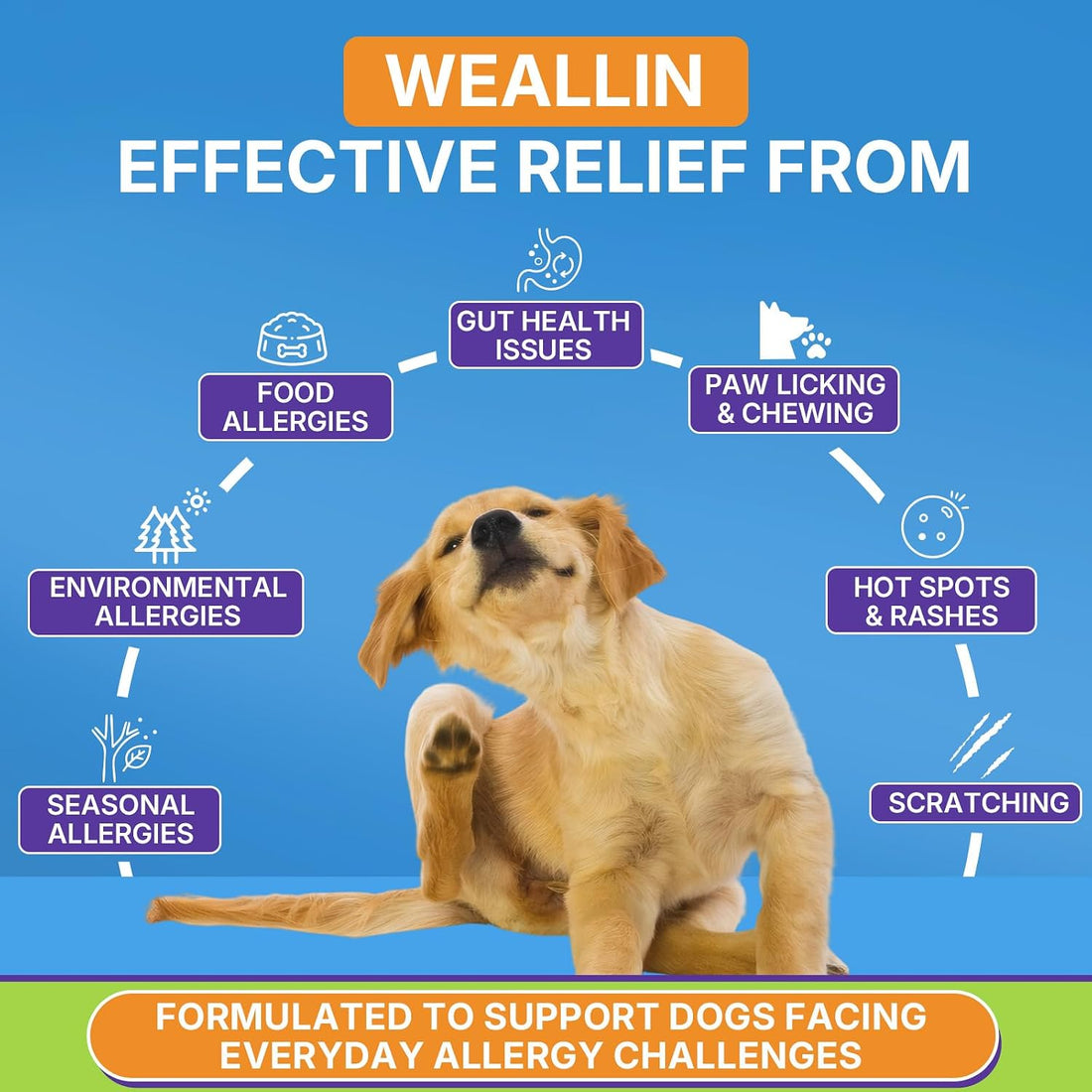 WEALLIN Dog Allergy Chews with Probiotics, Skin & Immune Support