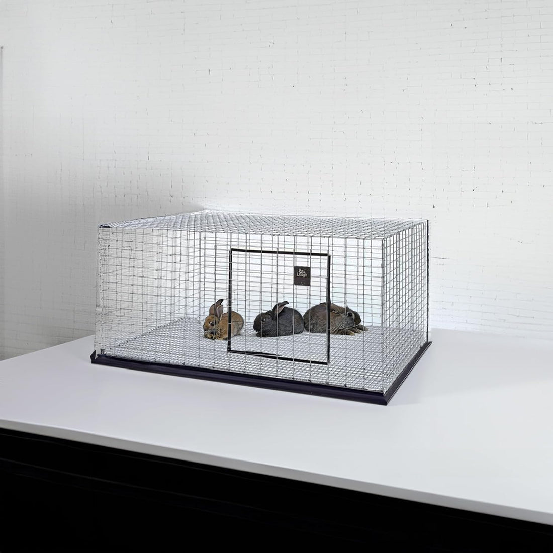 Pet Lodge® Wire Rabbit Hutch | Rust Resistant Galvanized Wire Mesh