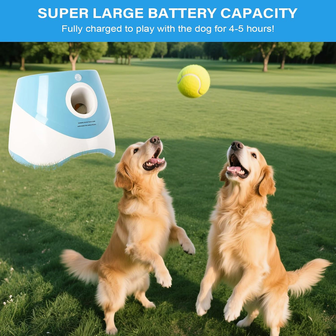 Automatic Ball Launcher for Dogs: Indoor Thrower Fetch Machine