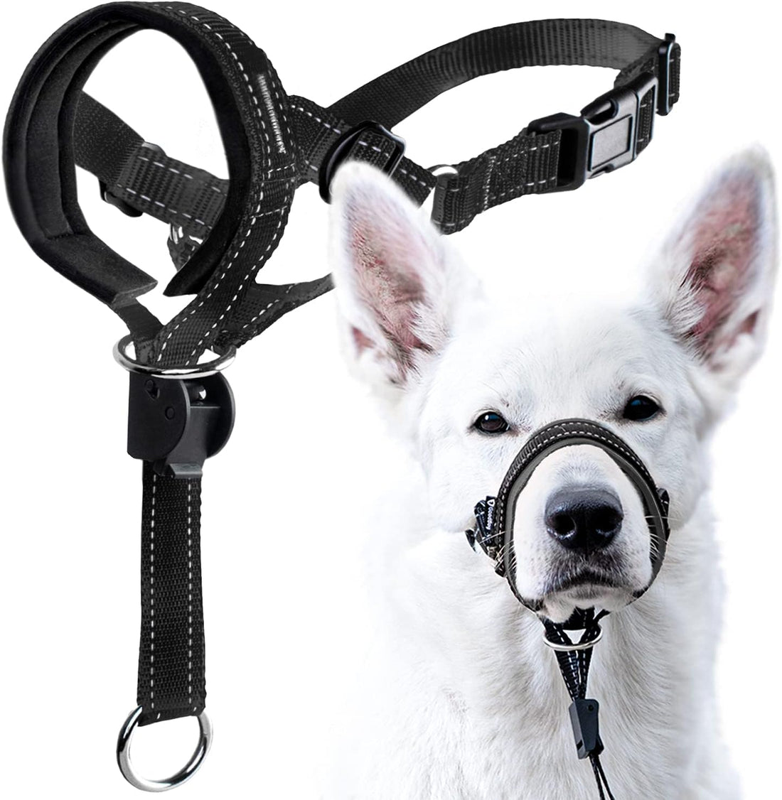GoodBoy Dog Head Halter with Safety Strap