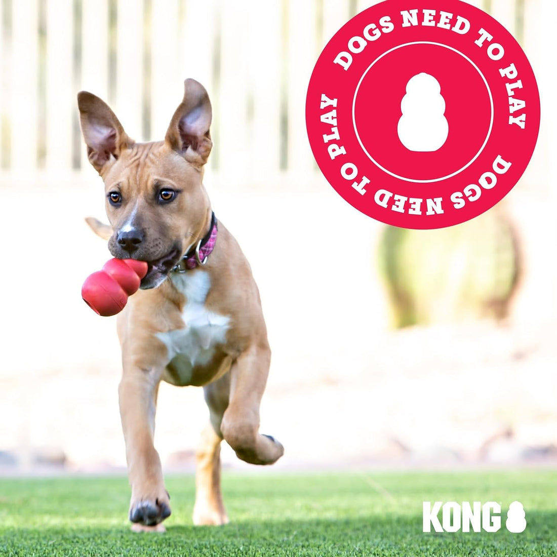 KONG Senior - Dog Toy with Gentle, Natural Rubber