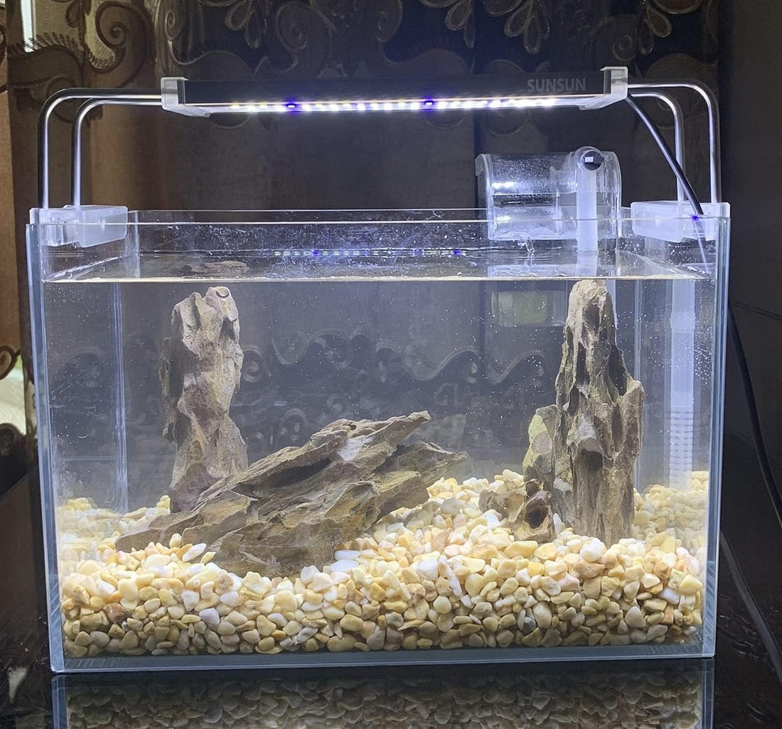 AWXZOM Natural Dragon Rock Carefully Selected Mixed Sizes