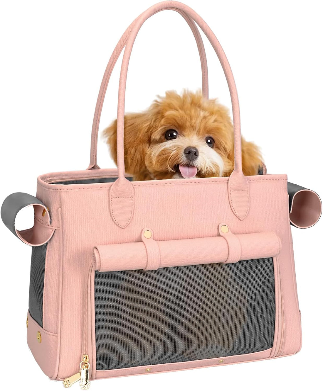 Fashion Pet Carrier Purse for Small Cat and Dog
