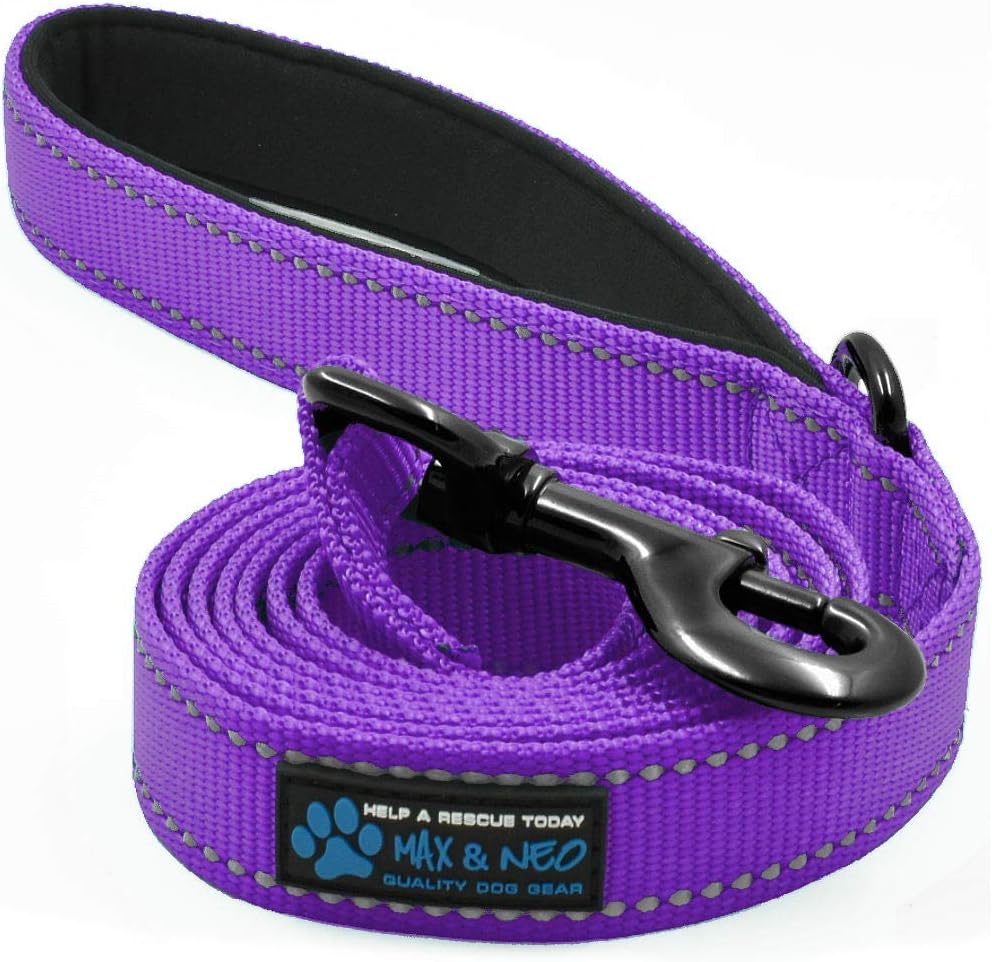 Max and Neo Reflective Nylon Dog Leash - We Donate One for Every Sold