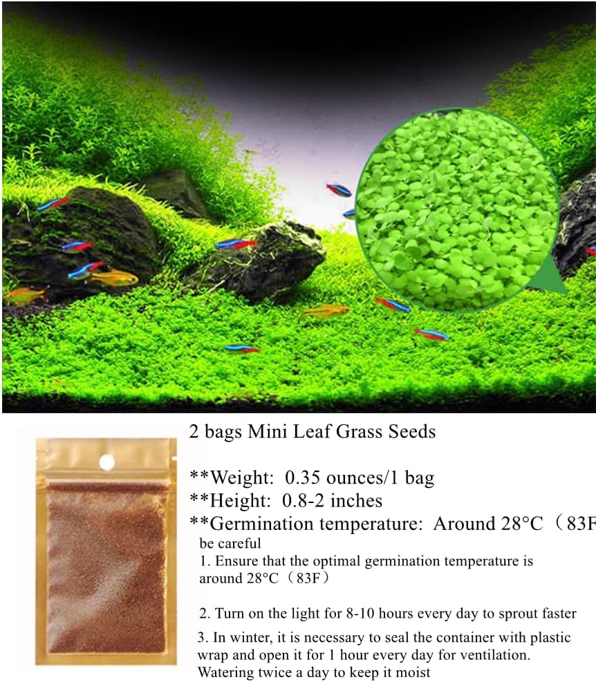 2 Pack Aquarium Plants for Fish Tank Easy Growing Real Carpet Decor