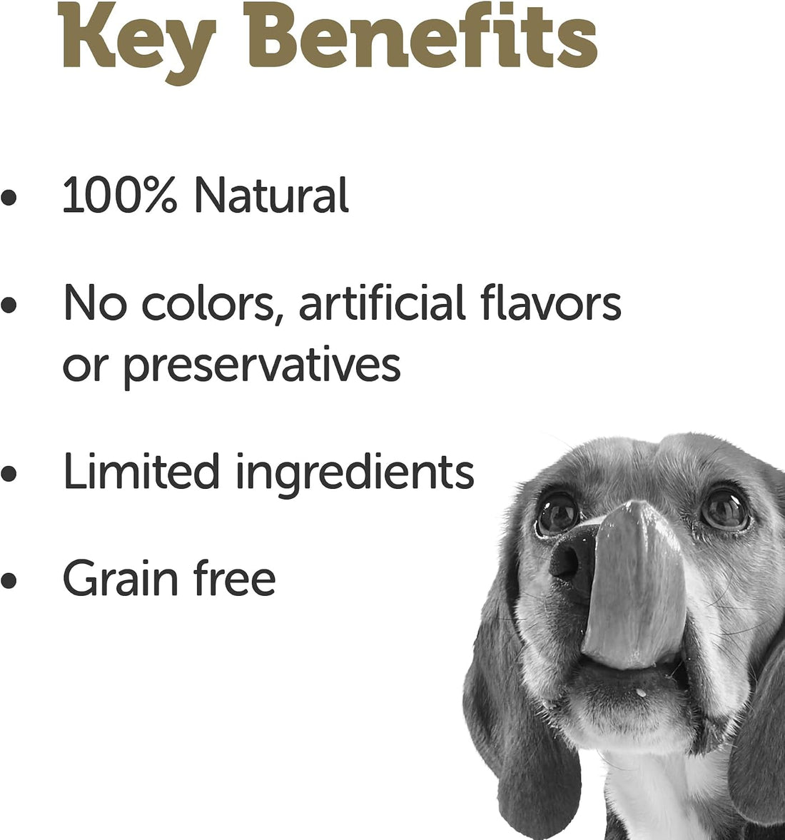Applaws Taste Toppers Chicken in Gravy Wet Dog Food 12-Pack 3 oz