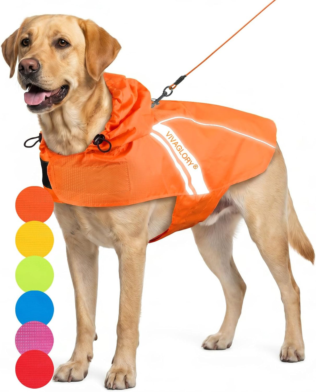 VIVAGLORY Dog Raincoat Wetoff Dog Rain Coat, S