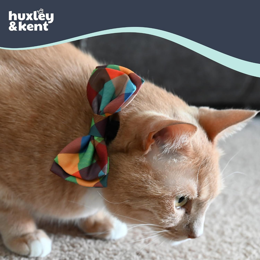Huxley & Kent Pet Bow Tie for Dogs & Cats, Fall Check, Large/XLarge