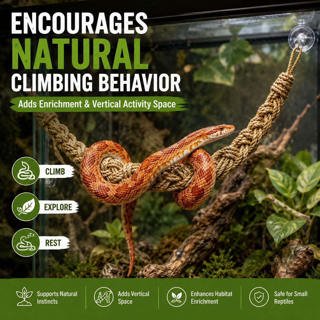 Ball Python Tank Accessories Snake Climbing Rope with Suction Cups