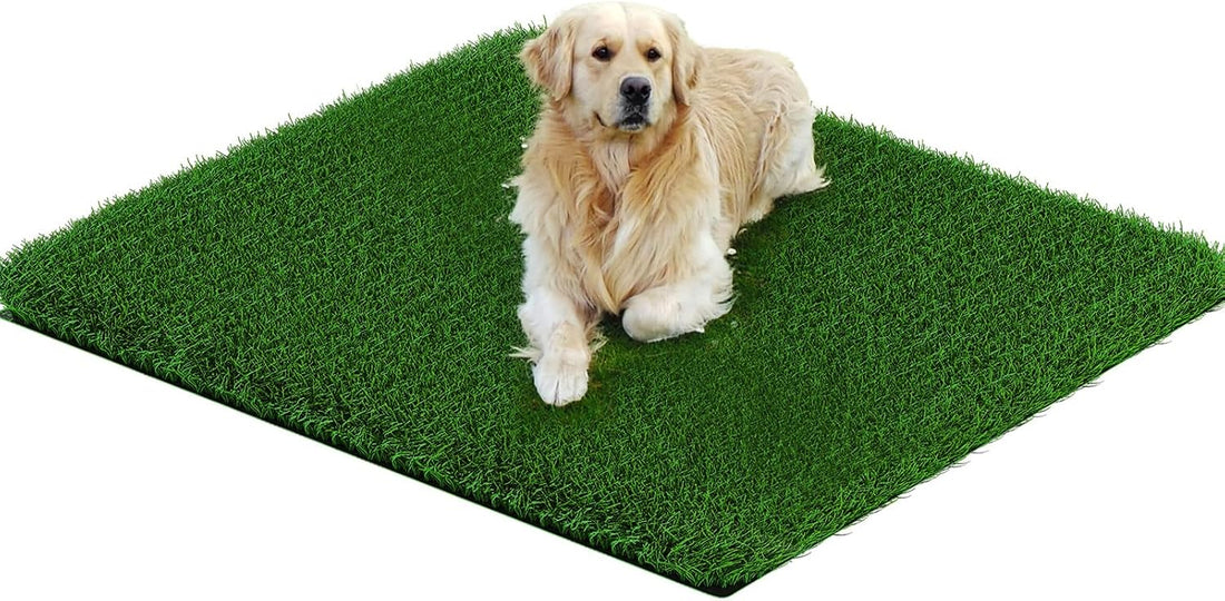Fake Grass Pad for Dogs Potty Training Artificial Turf, 39.3x31.5in