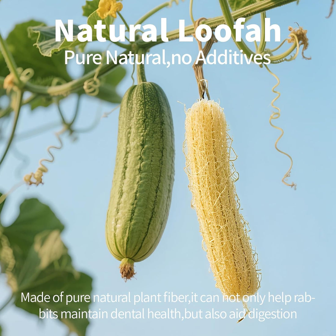 BESNEW 3 PCS Rabbit Chew Toys,100% Natural Loofah Without