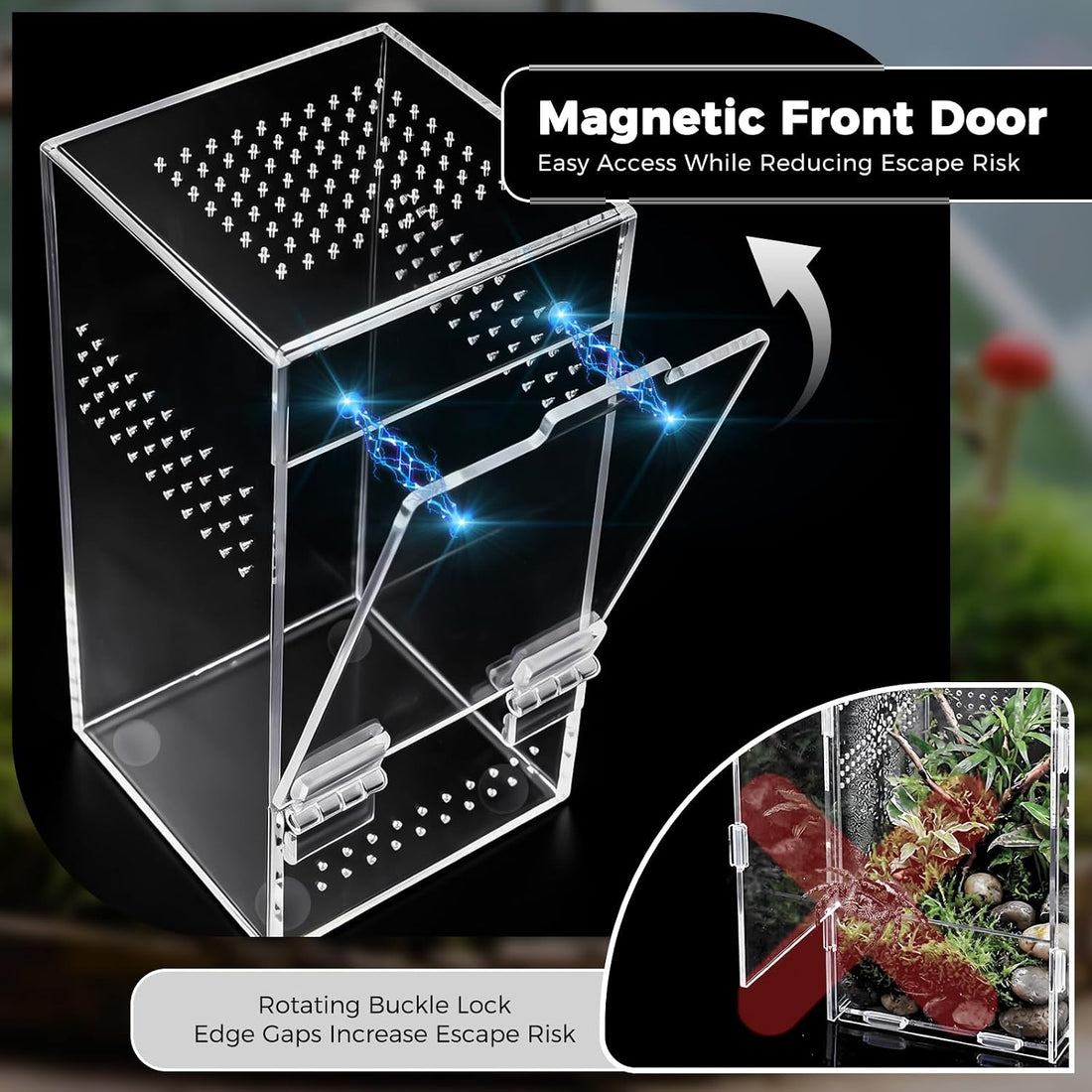 Jumping Spider Enclosure Kit