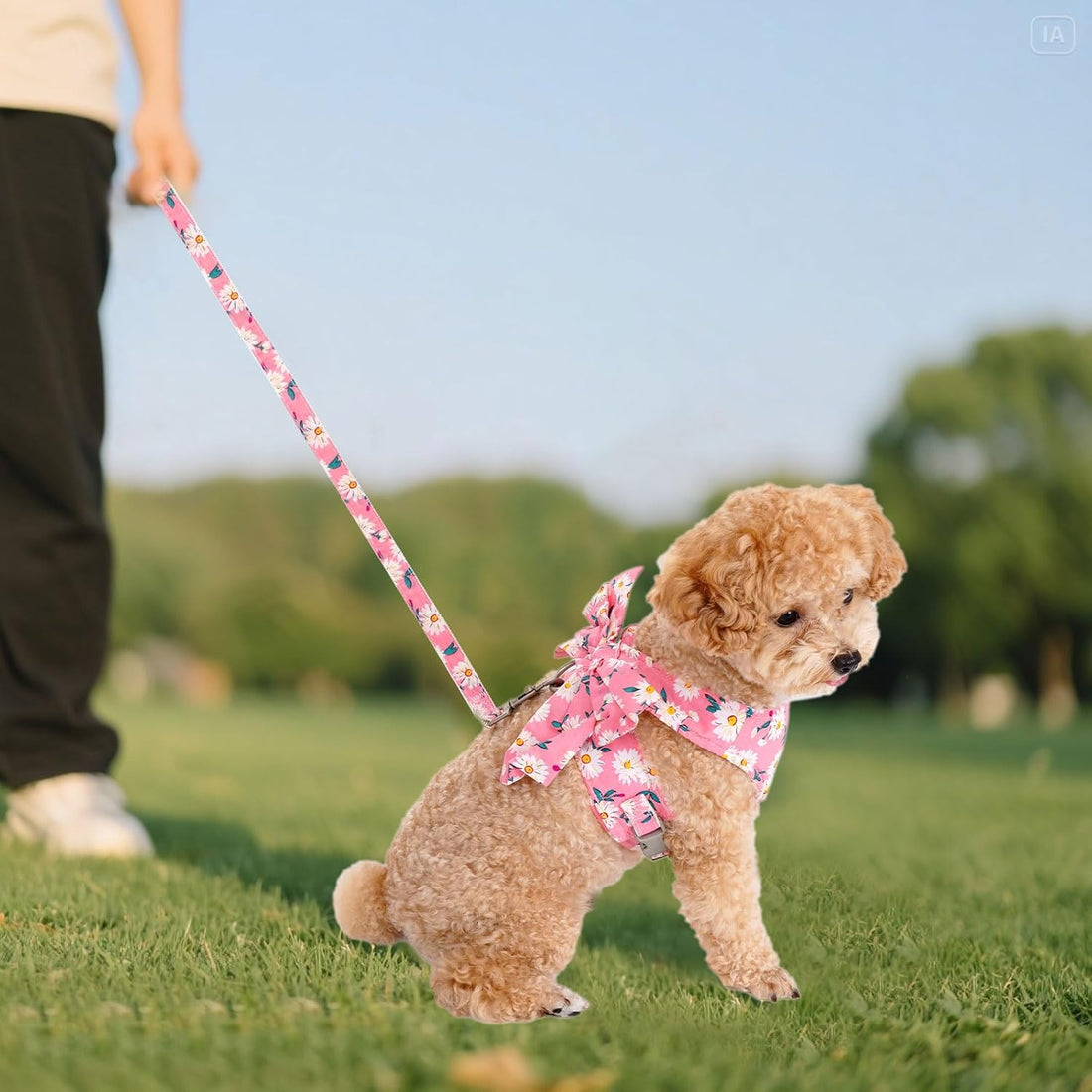 Dog Harness and Leash Set Adjustable Puppy Harness Mesh Vest Set Bow