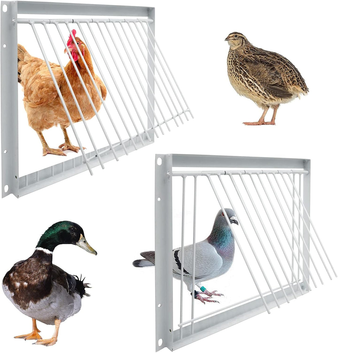 11.8in/30cm Pigeon Door Entrance Racing Pigeon Cage T Bars Birdcage Iron Wire Door for Bird Cage Breeding Supply