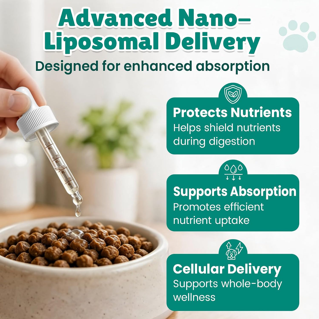 NAD+ Drops for Dogs, Dog Longevity Supplement with NMN & Resveratrol
