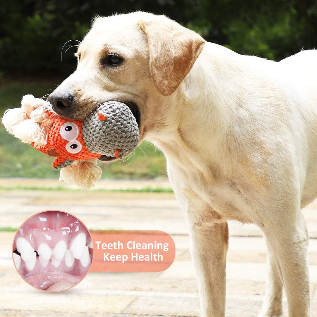IOKHEIRA Dog Plush Toy for Large Aggressive Chewers,Indestructible