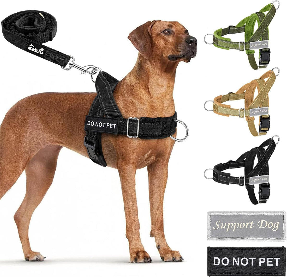 Lukovee No Pull Dog Harness and Leash Set, Soft Padded, with 5ft Leash