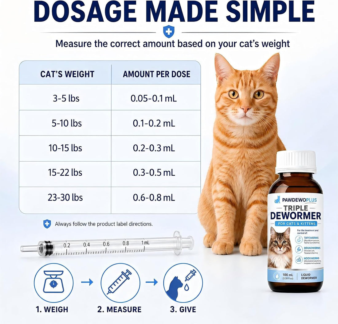 Liquid Dewormer for Cats & Kittens, 100 mL