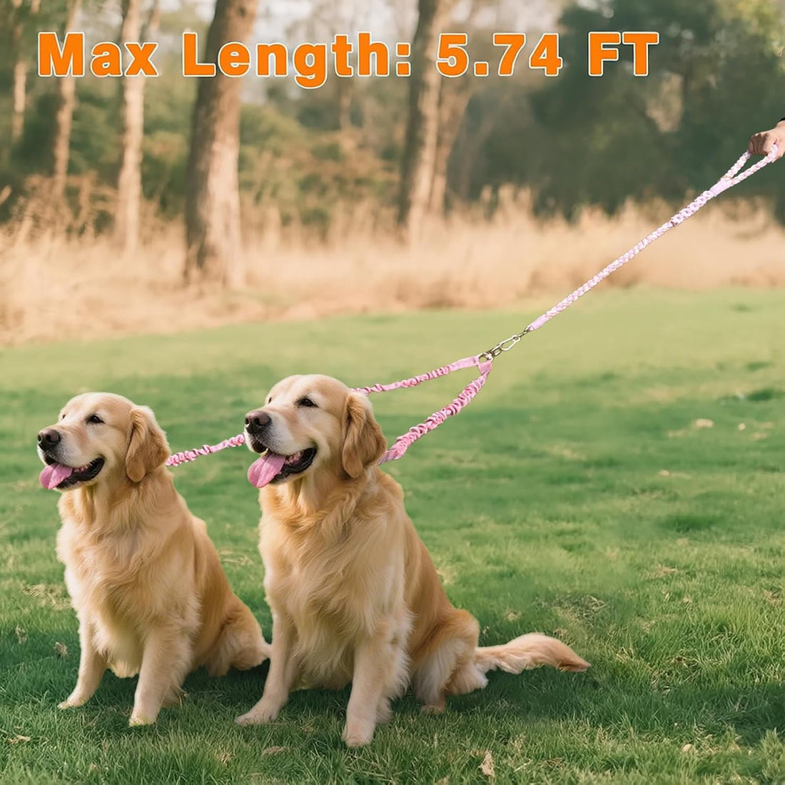 Double Dog Leash – Tangle-Free Dual Leash with 360° Swivel