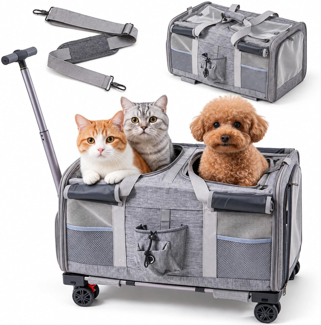 Large Cat Carrier for 2 Cats with Wheels, Double Rolling Pet Carrier