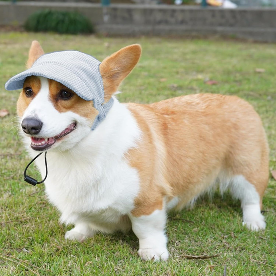 Dog Baseball Cap, Dog Cat Summer Beach Visor Hat with Ear Holes