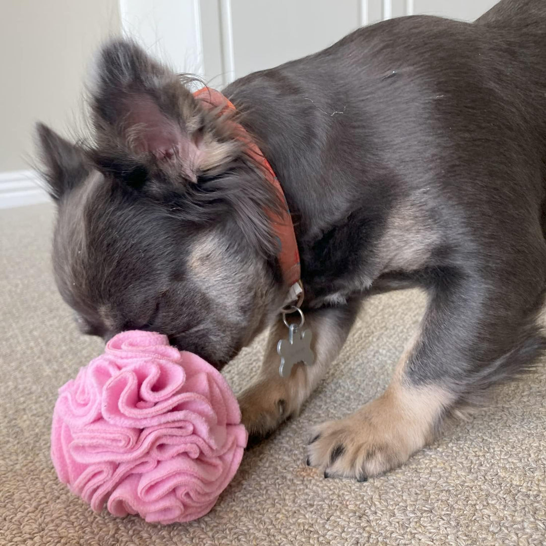 Glory To Dog Puppy and Small Breed Snuffle Interactive Foraging Dog