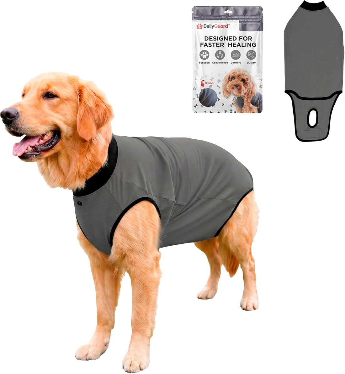 BellyGuard Dog Surgery Recovery Suit, Dog Onesie for Post-Op Care