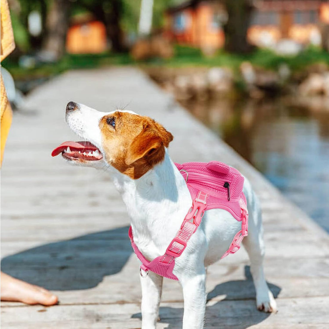 IDOMIK Frog Dog Backpack Harness