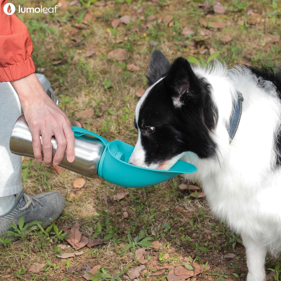 LumoLeaf Portable Dog Water Bottle 27 OZ