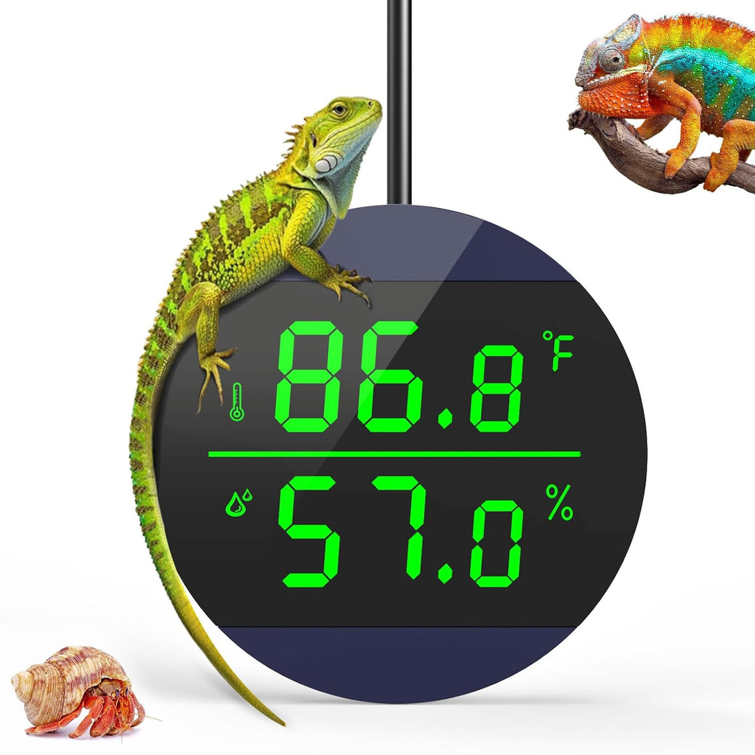 QZQ Reptile Thermometer and Humidity Gauge, Digital Display, Blue