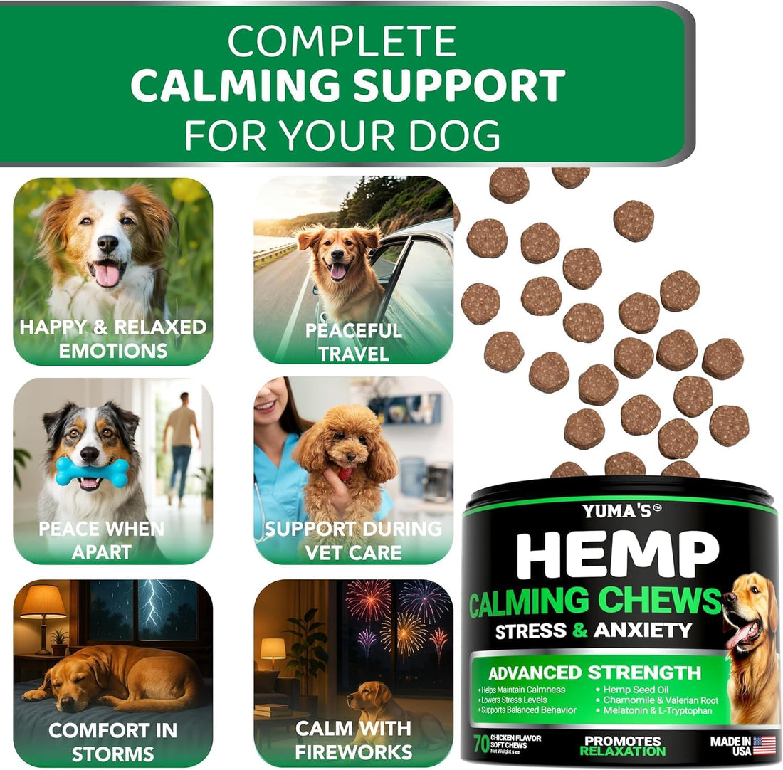 Advanced Calming Chews for Dogs - Hemp Dog Calming Chews