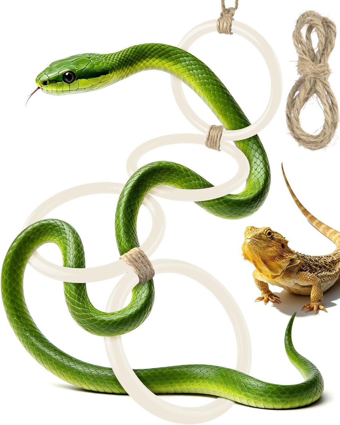 DBNESS Snake Climbing Rings, Ball Python Enclosure Enrichment Ring