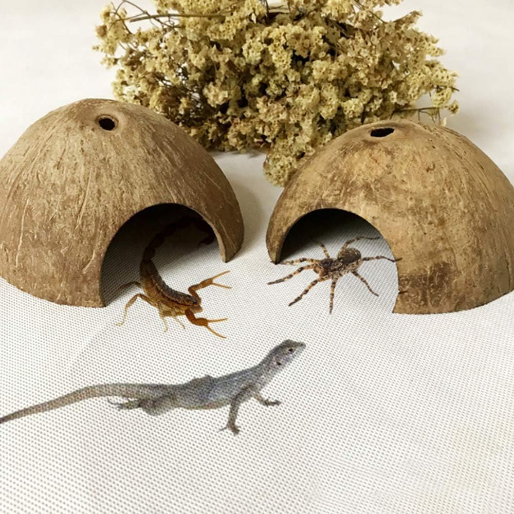 PINVNBY 2 PCS Natural Coconut Reptile Hideouts Lizard Coco Hut Hermit