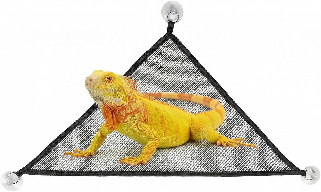 Snake Enclosure Accessories, Reptile Climbing Ring Hammock Set