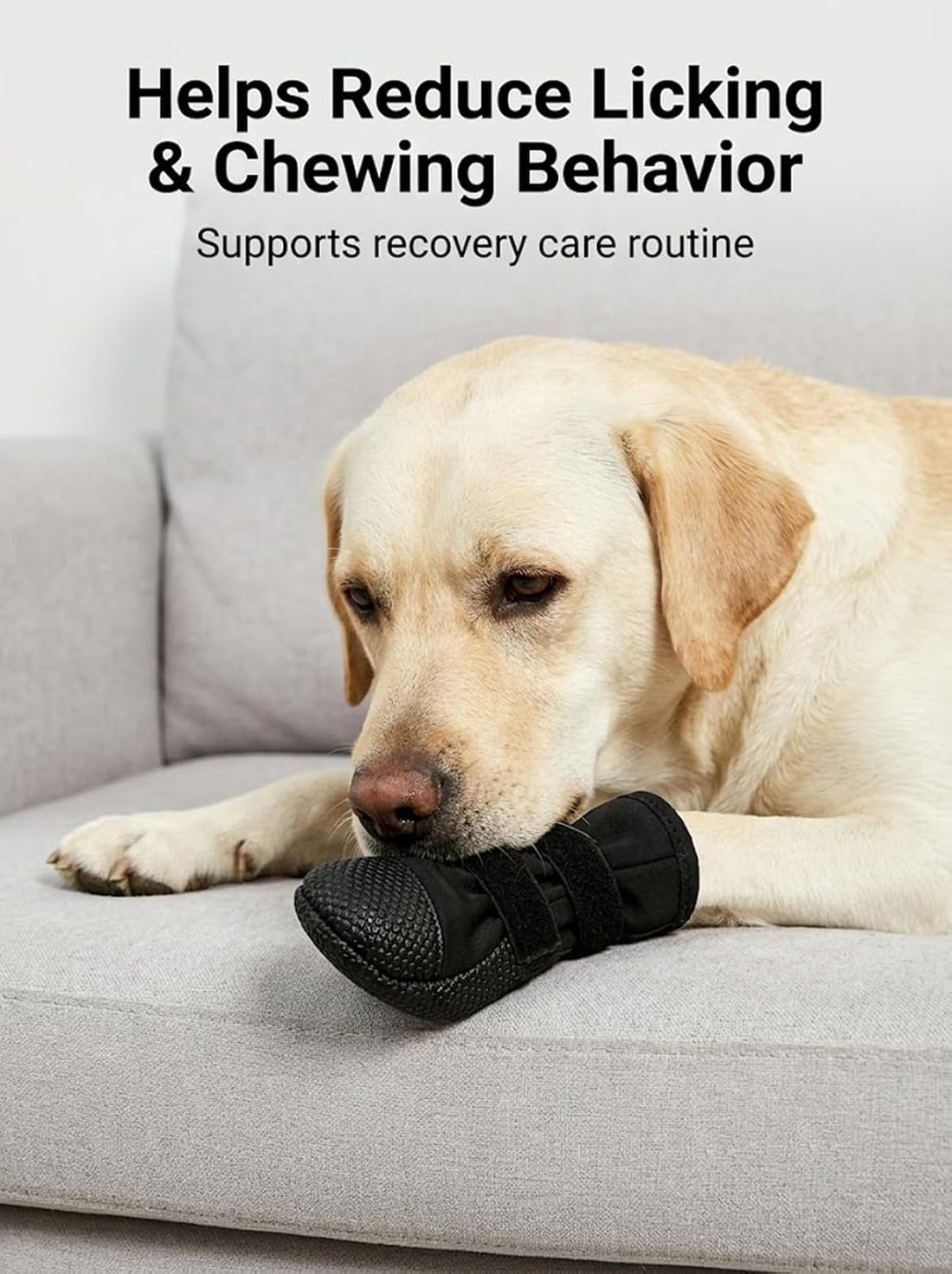 Dog Paw Wound Protection Kit with Recovery Boot & Self-Adhering