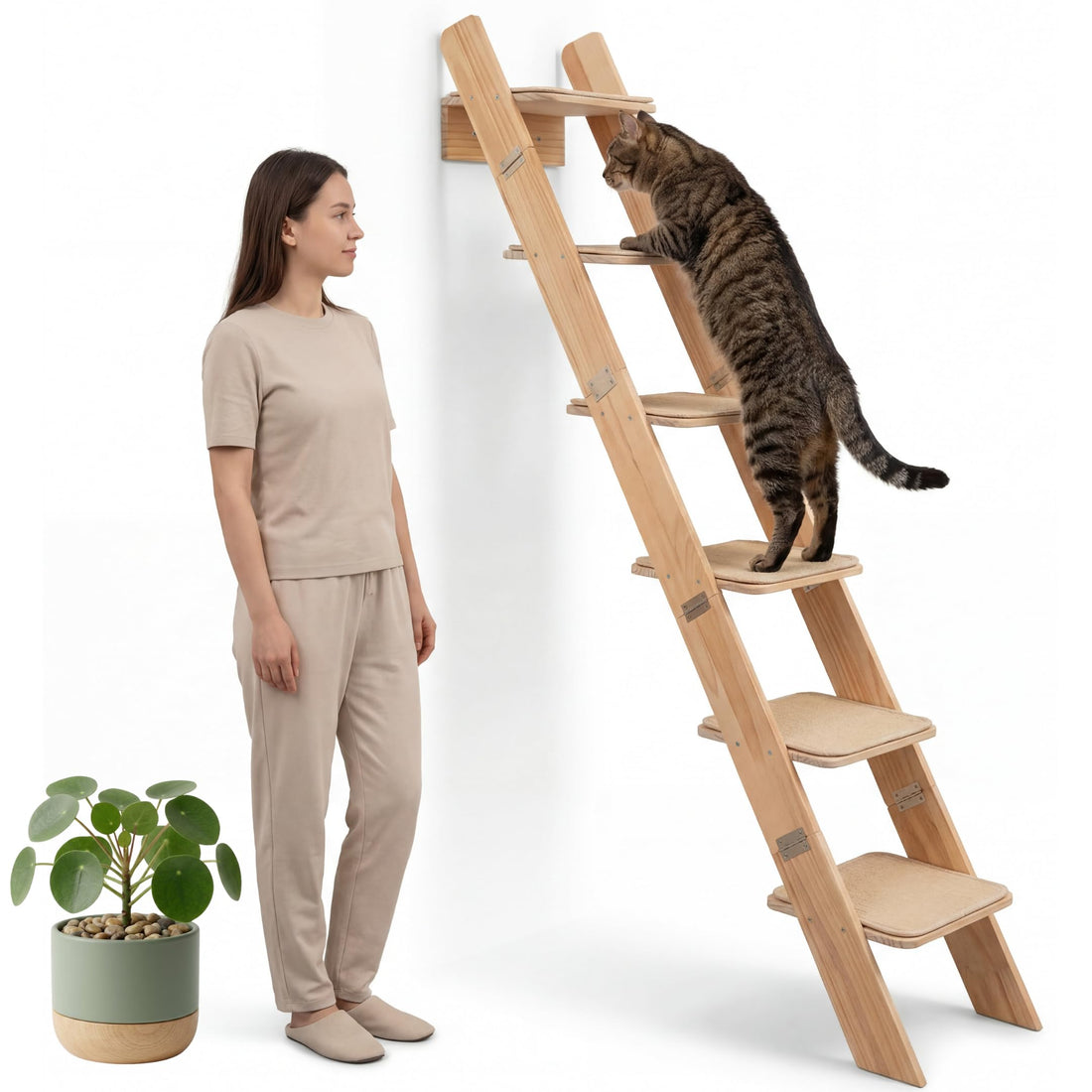 65" Tall 6-Level Cat Ladder for Window & wall