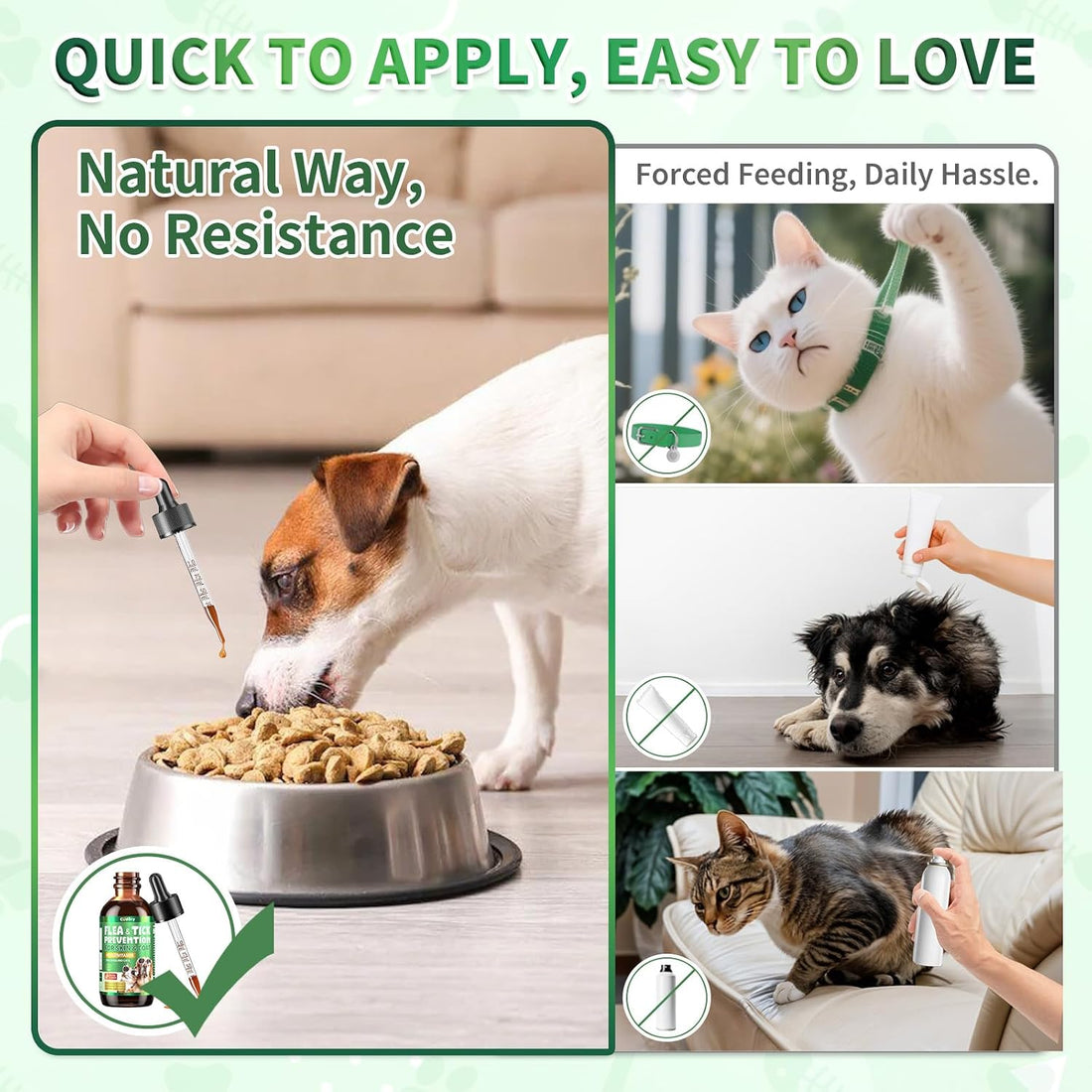 Flea & Tick Prevention for Dogs & Cats