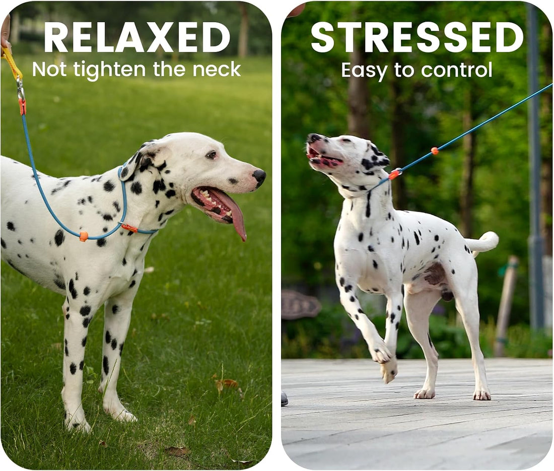 HowGo Slip Lead Dog Leash, 360°Swivel Anti-Tangle