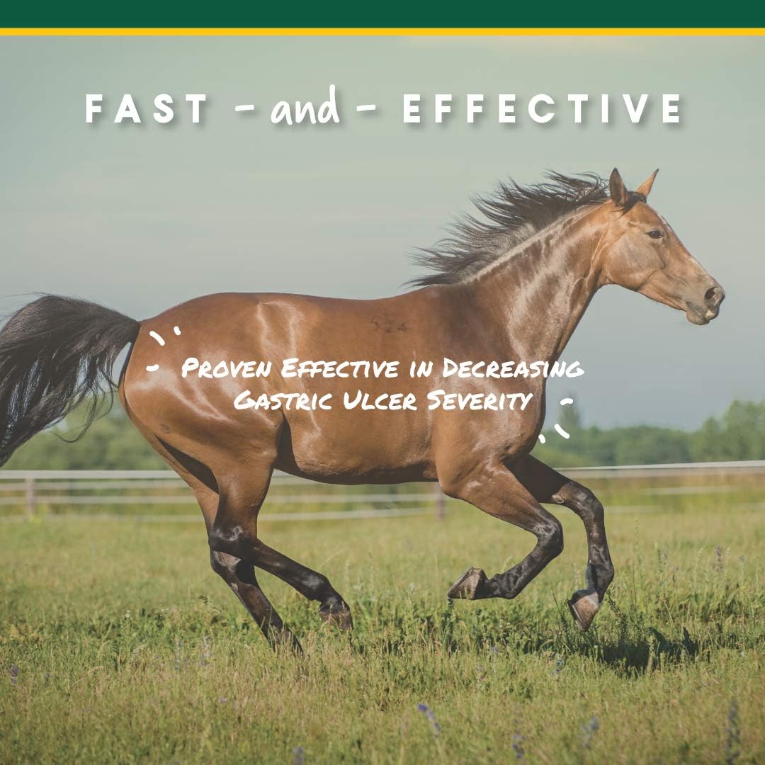Corta-Flx U-Gard Pellets for Horses, Digestive Supplement