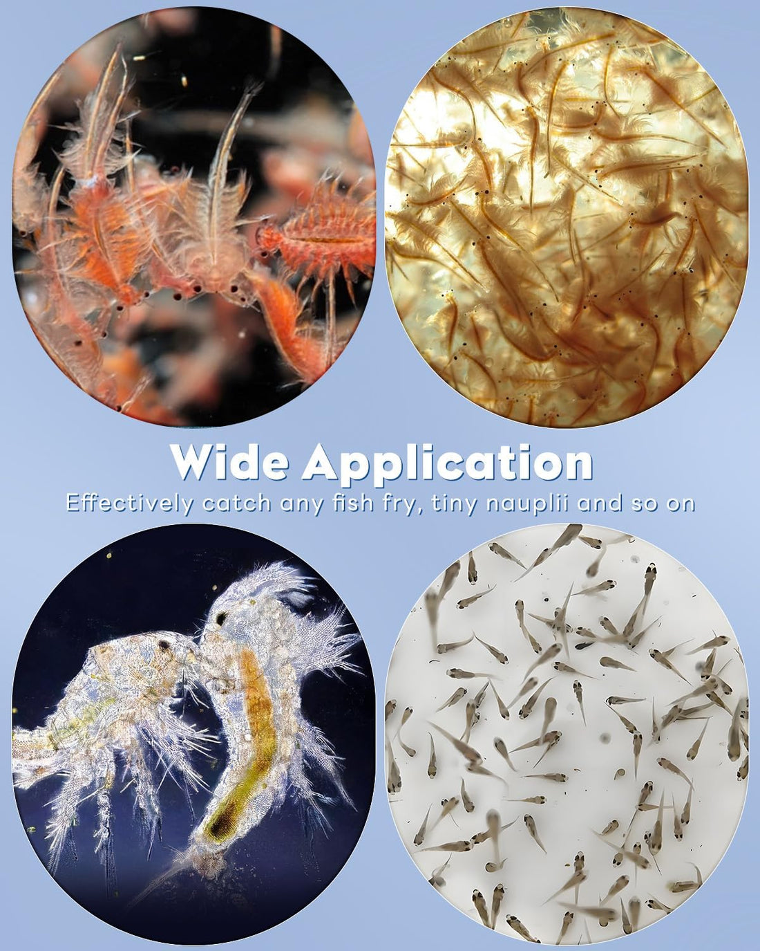 Pawfly Brine Shrimp Net Kit- 80 & 200 Mesh Sieve for Hatchery