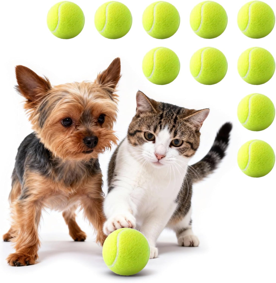 Automatic Dog Ball Launcher: Upgraded Auto/Manual Pet Ball Thrower