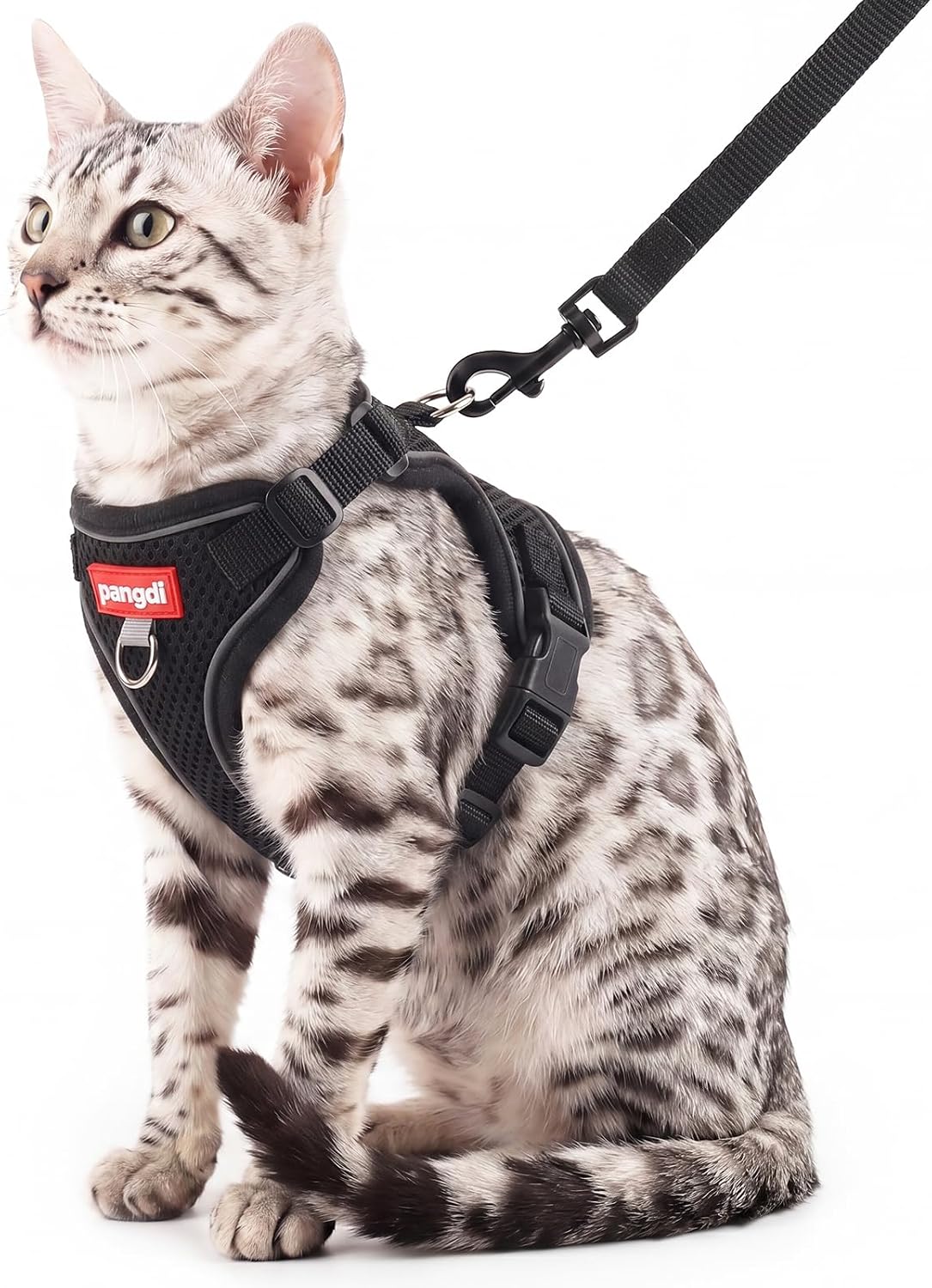 Cat Harness and Leash Set, Lightweight Air-Mesh Cat Vest, Black, XL