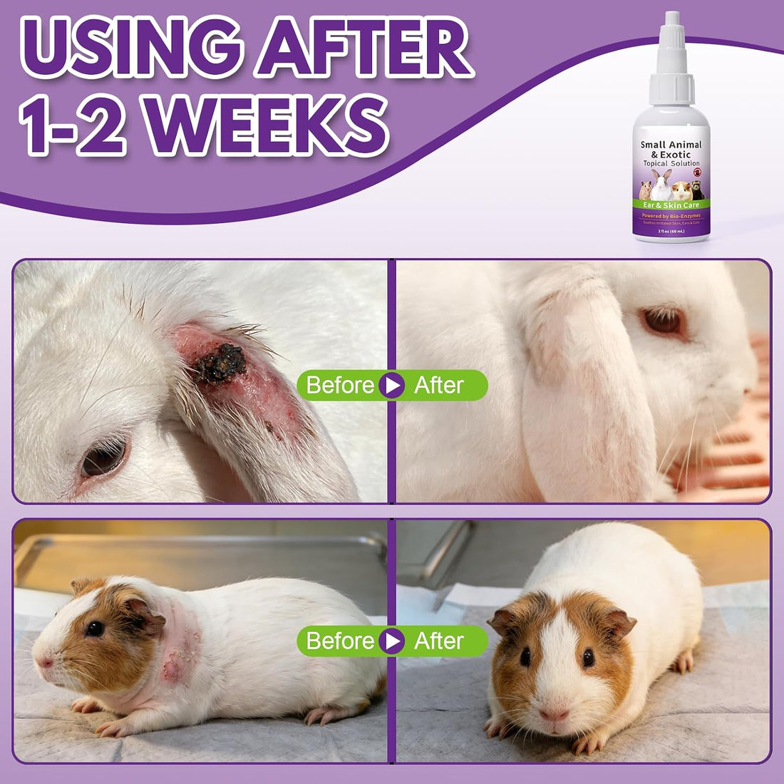 Topical Ear Infection Solution for Rabbits, Guinea Pigs & Exotics