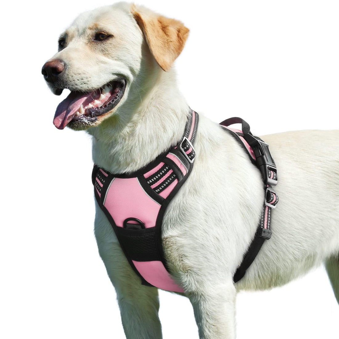 Eagloo Dog Harness for Large Dogs