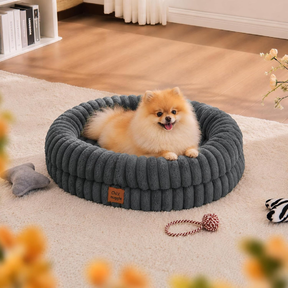 ChiXnuggle Orthopedic Dog Bed for Medium Dogs