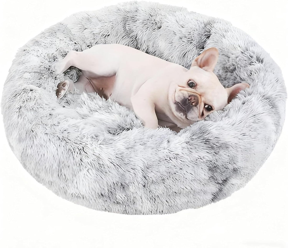 Washable Calming Dog & Cat Bed for Ultra Large Small Medium Size Pet
