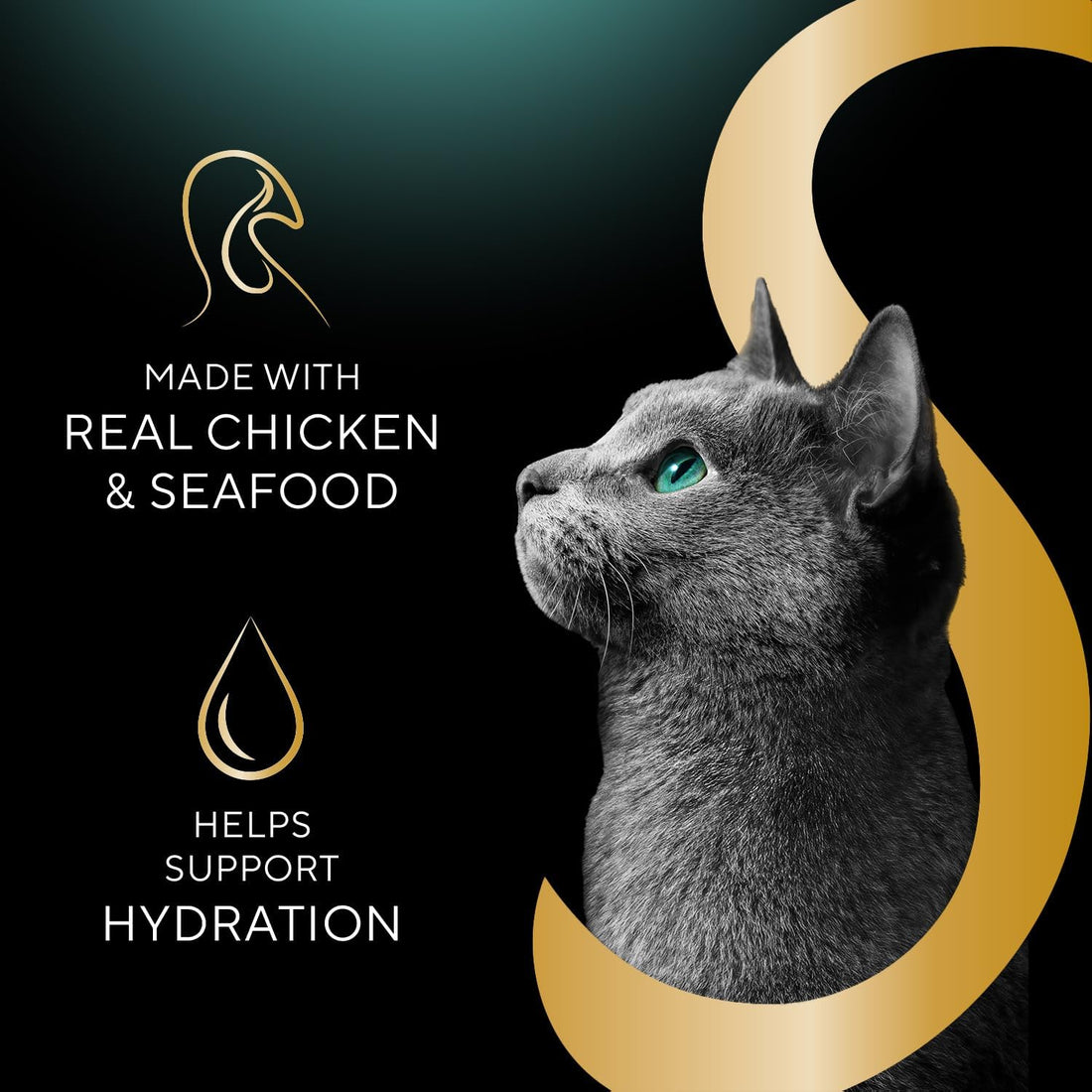 Sheba Selections Filets Wet Cat Food Complement, Chicken, 1.3 oz