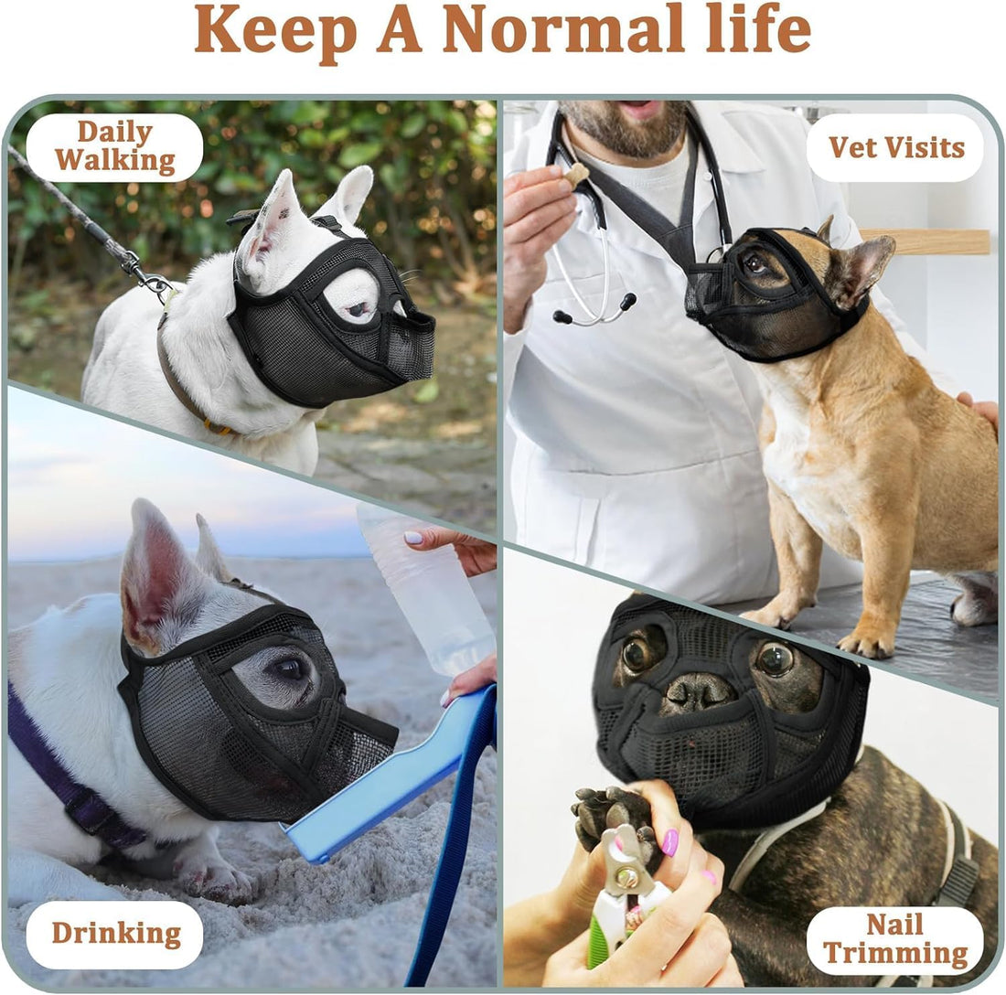 Mayerzon English Bulldog Muzzle
