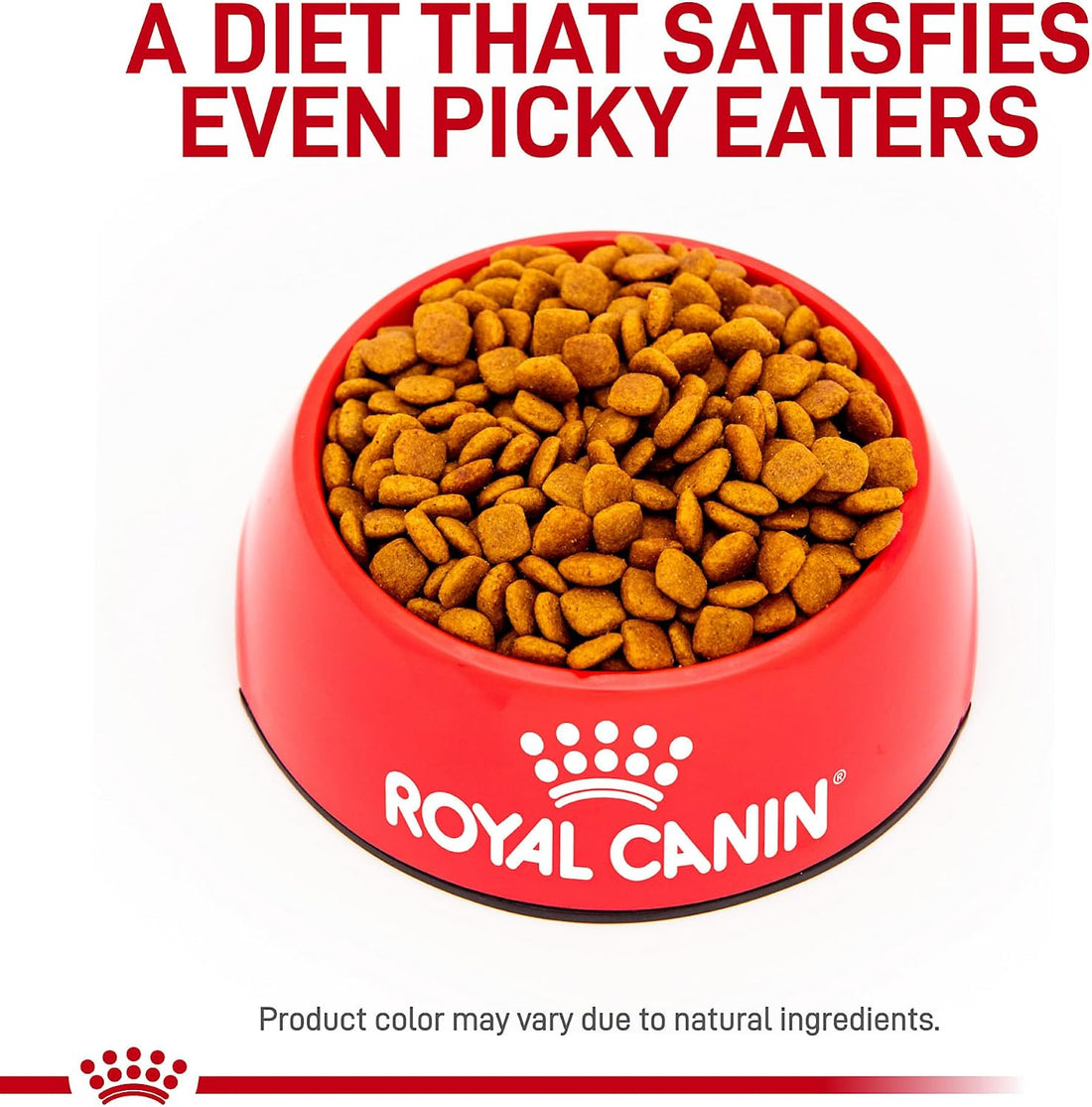 ROYAL CANIN Veterinary Diet Canine Renal Support Early Consult Adult
