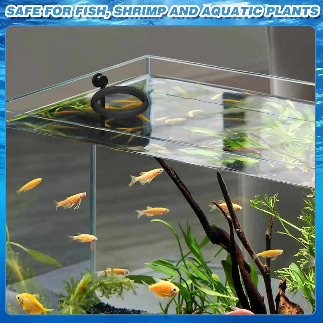 Magnetic Fish Feeding Ring, Automatic Turtle Feeder for Aquarium